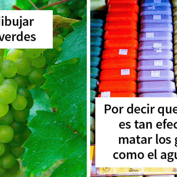 «¿Por qué me abuchean? Tengo razón»: 20 Momentos así que vivió la gente