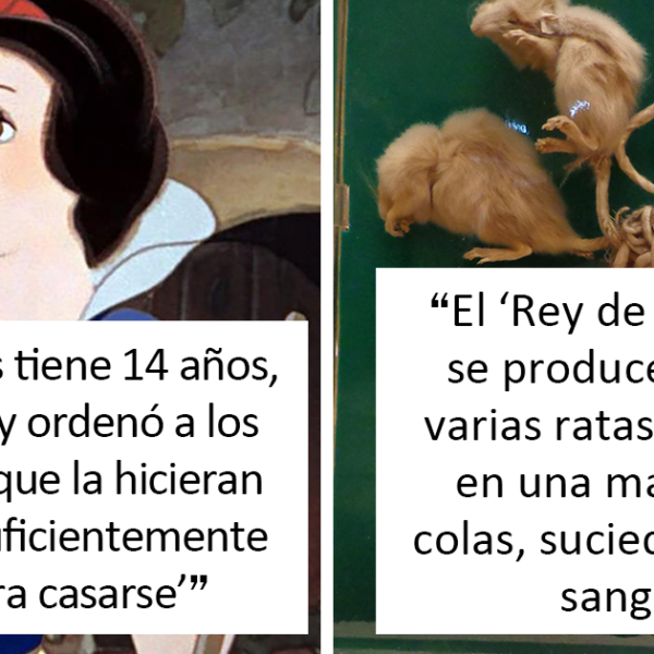 «¿Sabes algún dato divertido que a la vez sea ligeramente inquietante?»: 25 respuestas