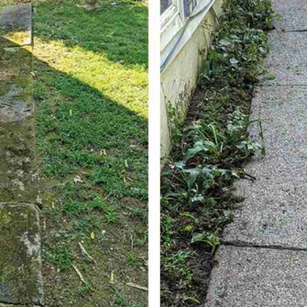 17 fanáticos de la limpieza que dejaron todo reluciente