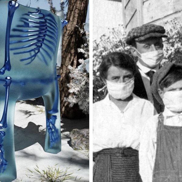 20 Imágenes incómodas y cautivadoras a la vez de esta cuenta de Twitter que solo publica cosas espeluznantes