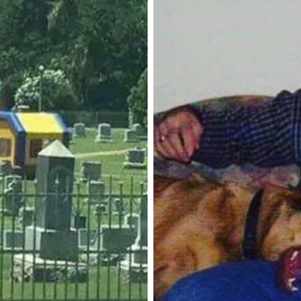 26 «Imágenes malditas» y muy extrañas compartidas en twitter