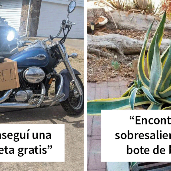 30 Afortunados «hallazgos en la acera» que encontró la gente