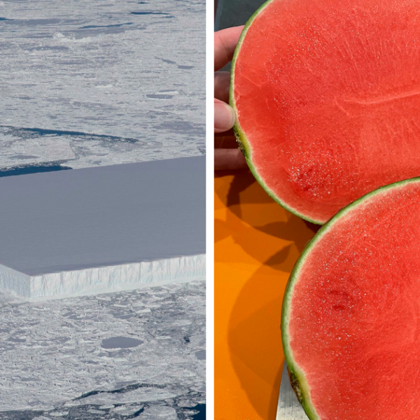 40 Cosas inexplicablemente satisfactorias compartidas en este grupo online (nuevas fotos)