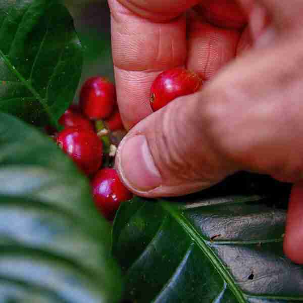 EMPRESAS CON RESPONSABILIDAD ECOLÓGICA