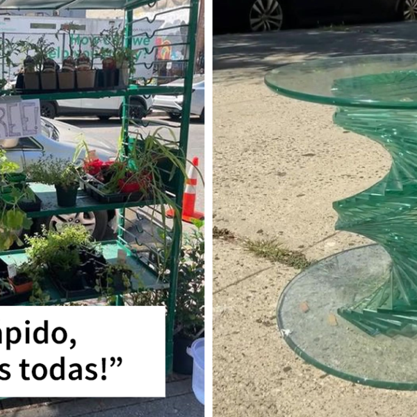 La gente comparte lo que ha encontrado tirado y la frase «la basura de un hombre es el tesoro de otro» nunca ha sido tan real (30 nuevas fotos)