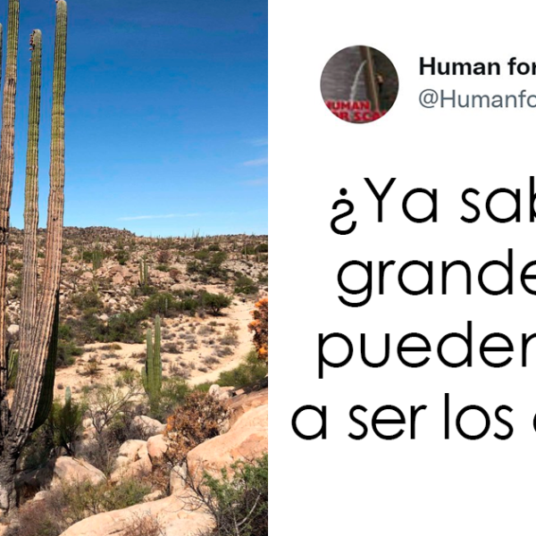 No sabes lo enormes que son algunas cosas hasta que se comparan con el tamaño humano: 20 fotos