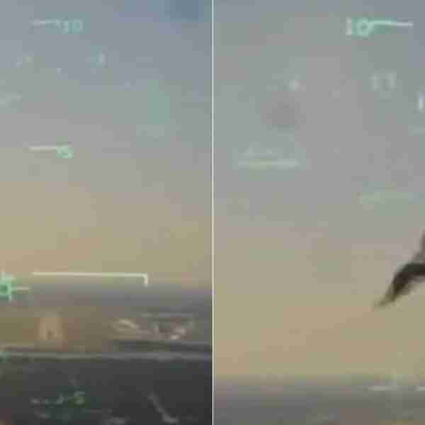 Un video muestra el momento exacto en que un pájaro causó la caída de un avión militar