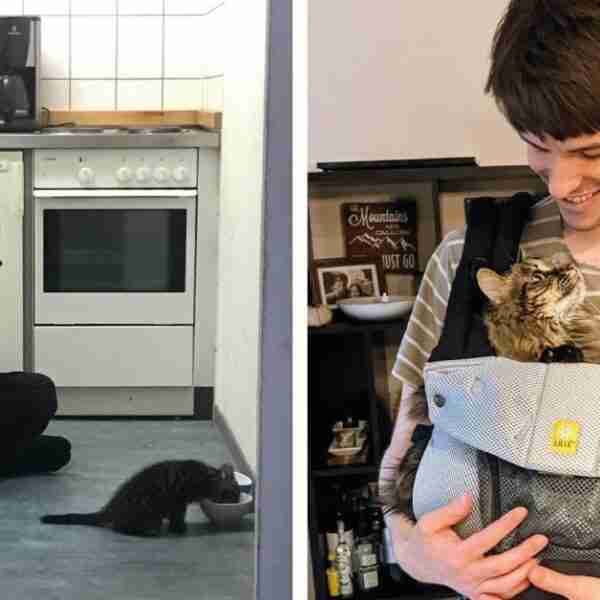 16 papás que no querían animales en casa pero terminaron amándolos.