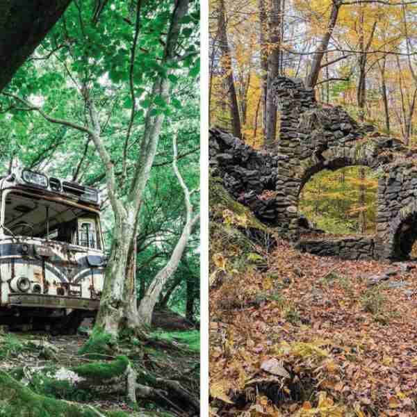 16 sorprendentes cosas encontradas en medio del bosque