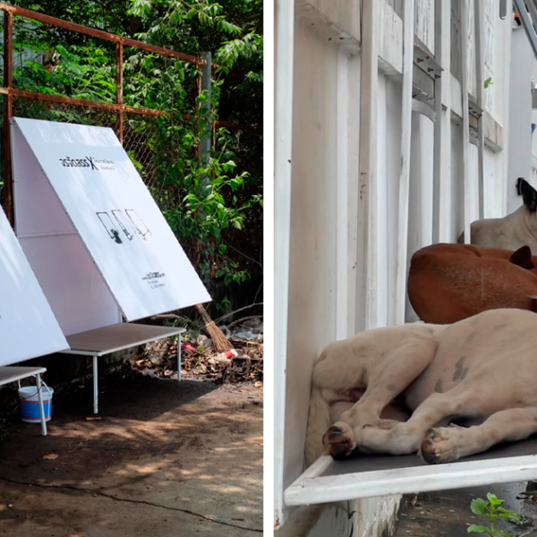 40 Inventos geniales para mascotas que no sabías que necesitabas para ser el dueño más genial