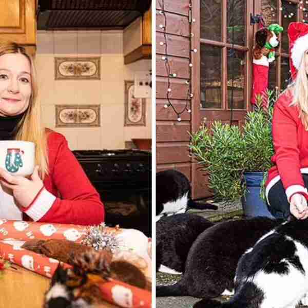 Mujer que adoptó a 21 gatos gasta 500 dólares al mes para su comida: “Dejé de fumar para cuidarlos”