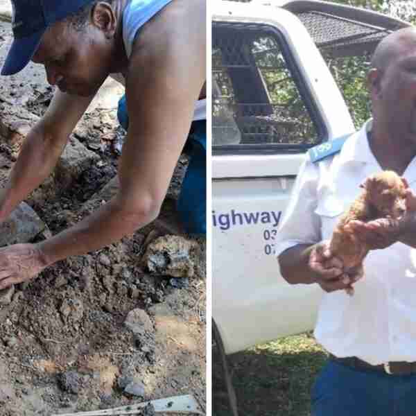 Salvan a perrita que quedó atascada en desagüe tras esconderse por fuegos artificiales. Tenía terror