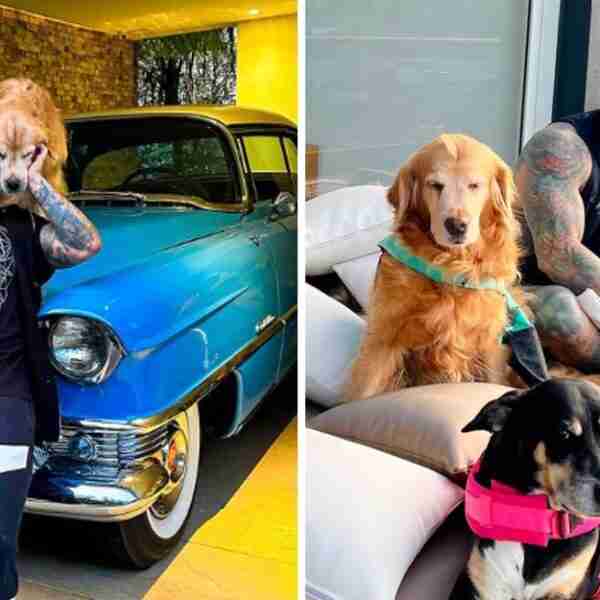 Youtuber reveló que un perrito lo salvó de quitarse la vida cuando era niño: “Él me rescató a mí”