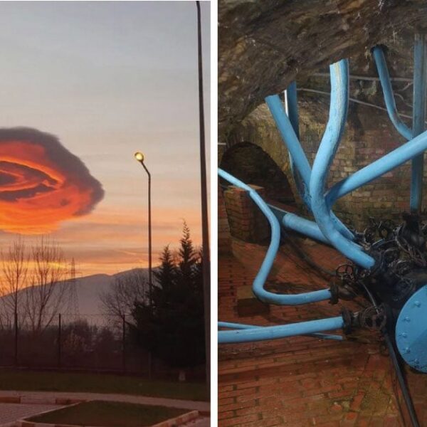 16 cosas tan sorprendentes de la vida cotidiana que merecían una foto