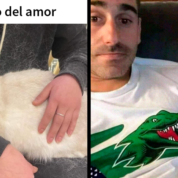 20 Divertidos memes en los que te gustaría etiquetar a tu gato