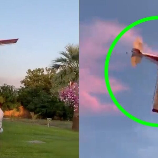 Una avioneta se estrelló durante una fiesta de revelación de género y el piloto perdió la vida