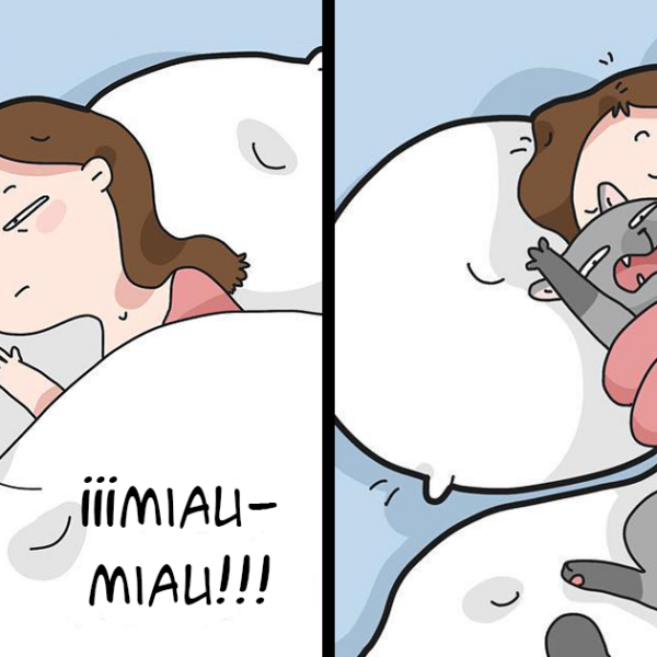 Una artista ilustra cómo es vivir con un gato (30 fotos nuevas)