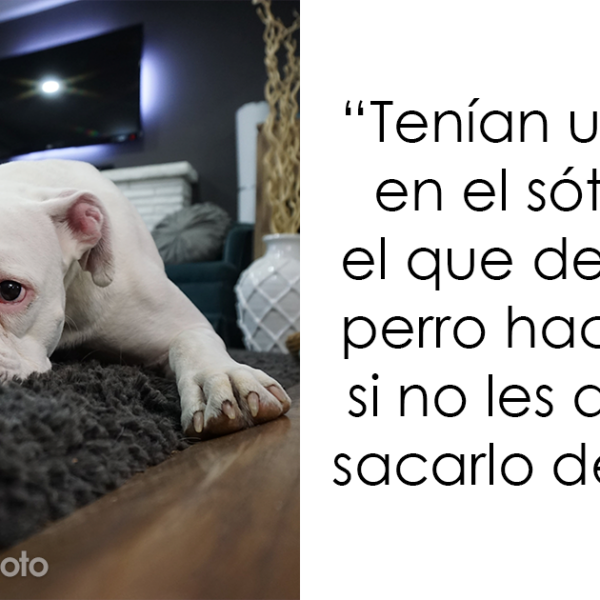 «¿Cuáles son las ‘normas de la casa’ más extrañas que te has encontrado al visitar a alguien?» (20 Respuestas)