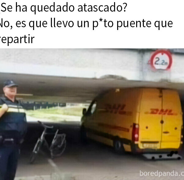 20 Divertidos memes bien cargados de sarcasmo