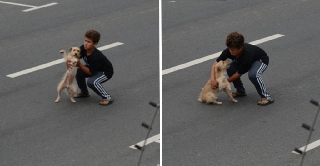 A boy saves a dog by risking his life and taking it to the vet at the age of 11.