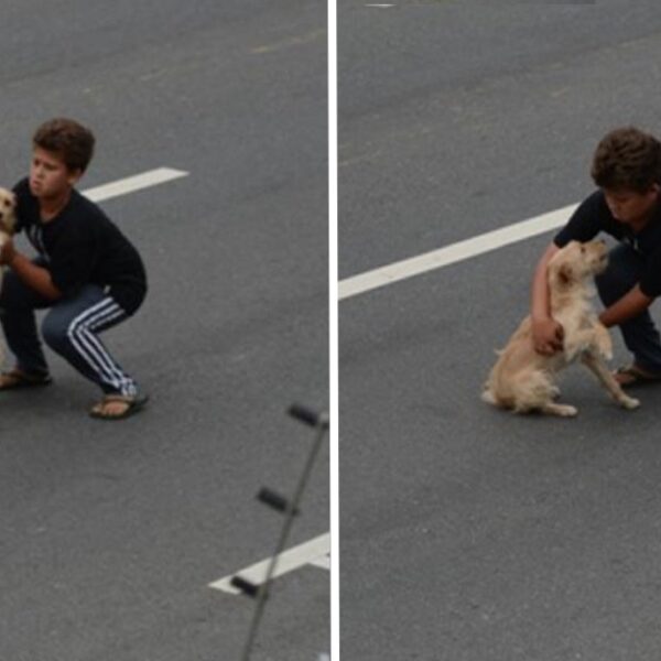 A boy saves a dog by risking his life and taking it to the vet at the age of 11.