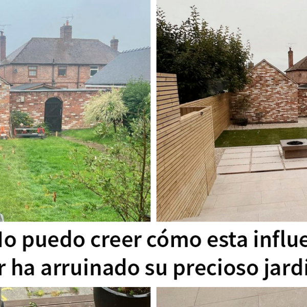 20 Memes británicos que te harán partirte de risa