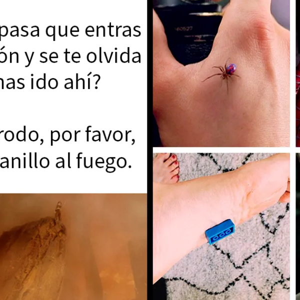 20 Memes de El señor de los Anillos que te darán ganas de volver a ver las películas