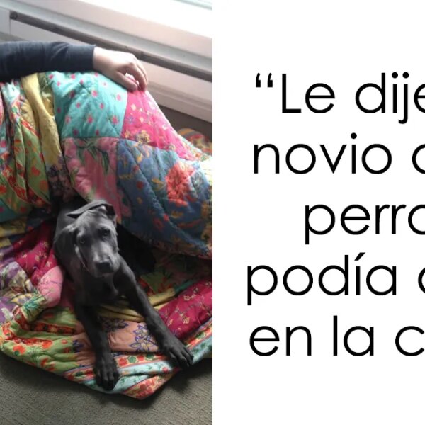 25 momentos divertidísimos en los que estos hombres mostraron que nunca maduraron del todo