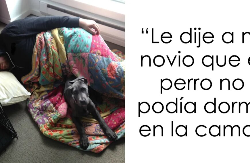 25 momentos divertidísimos en los que estos hombres mostraron que nunca maduraron del todo