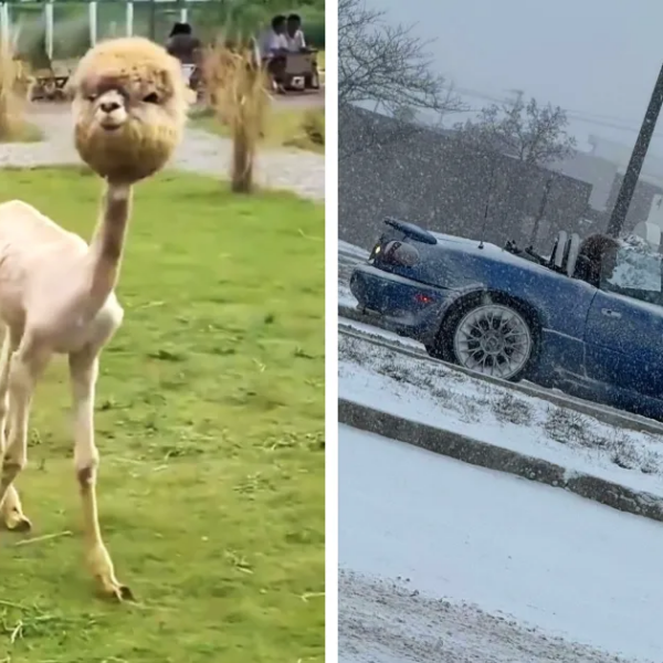 Estas 18 personas descubrieron cosas interesantes y las compartieron (nuevas imágenes)